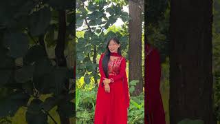 Chiuri ko Fula tipi sirai ma siuri dinu new Nepali viral song viralshorts [upl. by Lette]