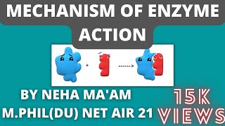 Mechanism of enzyme action In Hindi  CSIR NET Life Sciences  Biochemistry [upl. by Annamarie]