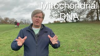 Understanding Mitochondrial DNA Structure Function and Disease [upl. by Defant91]