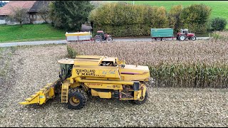 Mais 🇨🇭🌽  CCM  dreschen und Transport für Trocknungsanlage Bürli [upl. by Hpesoy]