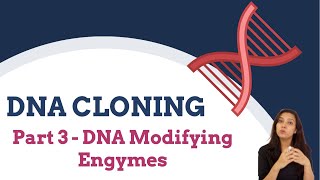 DNA Cloning Part 3  DNA Modifying Enzymes  Nucleases [upl. by Alletneuq641]