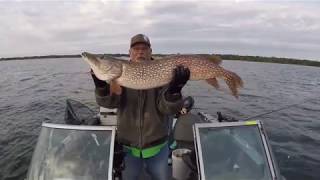 44 inch Mille Lacs Pike [upl. by Alsworth]