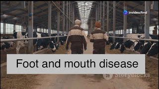 Foot and Mouth Disease FMD 🦠 animaldisease animalhealth subscribe vetgirl [upl. by Inail]