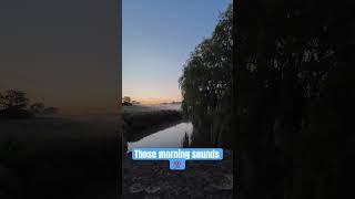 What a sound  Sunrise  sunrise nature carpfishing [upl. by Greggory57]