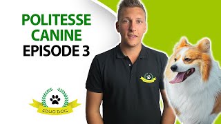 Comment calmer un chien agité sans raison [upl. by Clari]