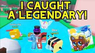 I CAUGHT A LEGENDARY IN THIS NEW GAME Pet Catchers [upl. by Aisekal845]