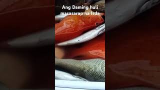 Masasarap na Isda Ang Nahuli fishing fishing fishingvideo fish fish viralvideo [upl. by Ardnasella]