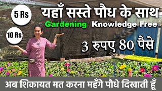 पौधे 5 और 10 रुपए में  Cheapest Plant Nursery  Gurugram ki is nursery mein milenge saste podhe [upl. by Annatnas985]