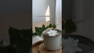 Why You Should Drink Flower Tea [upl. by Eylsel]