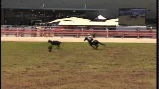 EQUITANA Australian Open 2010 Campdrafting Part 1 [upl. by Godfry]