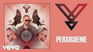 Yandel  Persígueme Audio [upl. by Neuberger338]