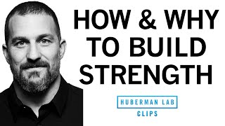 The quot3 by 5quot Protocol How amp Why to Build Your Strength [upl. by Ycal990]