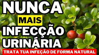 RECEITAS NATURAIS PARA CURAR INFECÇÃO URINÁRIA [upl. by Fredrick]