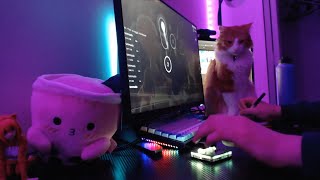 proof im legit ft pp cat [upl. by Nwahsal]