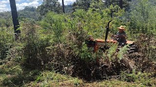 Agrale 4200 Roçando mato de 2m de altura [upl. by Ruhtracm355]