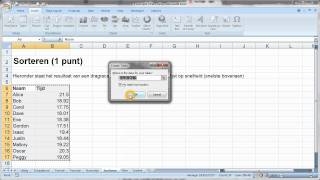 Excel Sorterenwmv [upl. by Pellet]