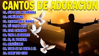 PODEROSAS CANCIONES CRISTIANAS PARA LIBERAR TU MENTE Y EL CORAZÓN 🕊️🕊️ SUPE QUE ME AMABAS 🙏🙏 [upl. by Tammany27]