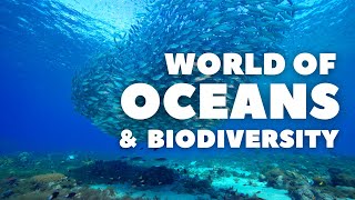 The complex World of Oceans and Its Biodiversity  Part 1 [upl. by Eeneg440]