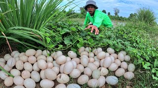 Top amazing fishermanPick a lot of duck eggs on the grass by the roadside [upl. by Sophy]