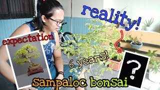 tara mag bonsai ng puno ng sampaloc  Bonsai journey [upl. by Kone]