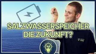 Salzwasserbatterien PVSpeicher der Zukunft solaridee [upl. by Neibart]