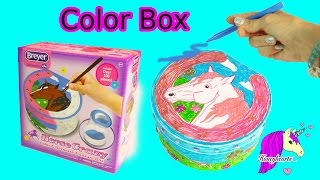 Breyer Horse Crazy Color amp Decorate Treasure Box Craft Video with Markers  Honeyhearts [upl. by Marianne]