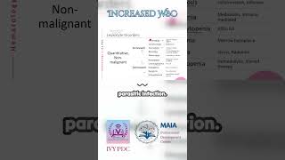 Leukocytosis Increased WBC [upl. by Ronym]