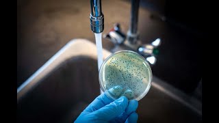 Rapid microbiological methods  water microbiology [upl. by Notfilc378]