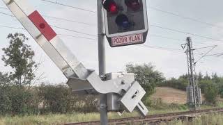 Trainspotting in der Tschechei da fahren noch schöne Züge [upl. by Naffets]