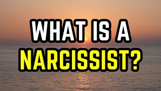 What is a Narcissist 8 Key Traits [upl. by Ecirtaed574]