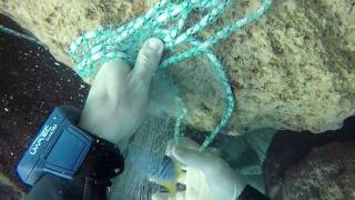 Catching cichlids at Chiwi Rock in lake Malawi [upl. by Demah]