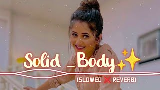 Solid body re song slowedreverb  haryana song  Ajay hooda [upl. by Ednutabab]