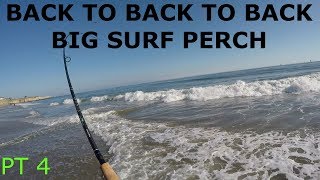 SANTA CRUZ SURF FISHING FOR BIG BARRED SURF PERCH [upl. by Vyner102]