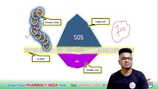 MECHANISM OF ACTION OF STREPTOMYCIN  PHARMACOLOGY [upl. by Antonie]