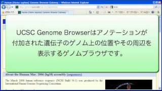 UCSC Genome Browserの使い方 ～基本編 [upl. by Nuawed514]