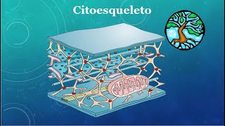 Todo sobre el Citoesqueleto en 3min [upl. by Abate]