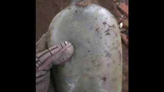 Privy Digging 1st Historical Flask😲 and super Rare Insulator [upl. by Pillsbury]