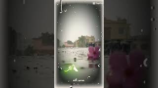 Ami chilam tomar pashe viralvideo satisfyingvideo shorts youtubeshorts flower rain [upl. by Nicolea]