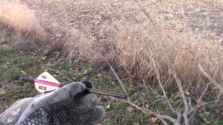 Kansas whitetail rut part 2 [upl. by Pickard]