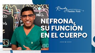 FUNCION DE LA NEUFRONA  DR RAWDY [upl. by Anada342]