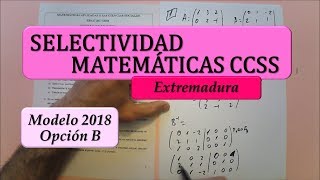 Selectividad Extremadura Modelo 2018 matemáticas CCSS opción B [upl. by Bounds]