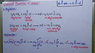 Cemical properties of amines Acylation reaction with mechanism [upl. by Reamy]