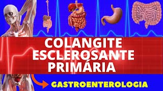 COLANGITE BILIAR PRIMÁRIA  O QUE É CAUSAS SINTOMAS DIAGNÓSTICO E TRATAMENTO  GASTROENTEROLOGIA [upl. by Atarman]