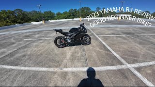 2023 Yamaha R3 6 Month ReviewWalkaround [upl. by Hanikahs]