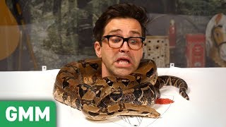 Trapped in a Snake Tank Pt 2 6ft Boa Constrictor [upl. by Enyleve]