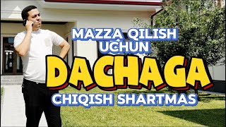 Menda Toshkentni o’zida dacha bor [upl. by Ninnahc]