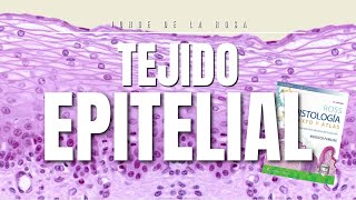 Tejido Epitelial  Resumen Histología Ross y Laminillas 🔍 [upl. by Stefanac279]