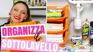 COME ORGANIZZARE IL SOTTOLAVELLO 10 IDEE PER TENERE IN ORDINE IL SOTTO LAVANDINO  CASA ORGANIZZATA [upl. by Teyugn]