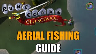 Aerial Fishing Guide  Old School RuneScape [upl. by Acissj]