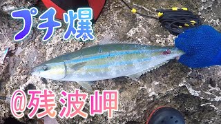 プチボーナスタイム 沖縄釣り ルアー釣り カツオ カマス グルクマ ショアジギング 残波岬 [upl. by Cynde799]